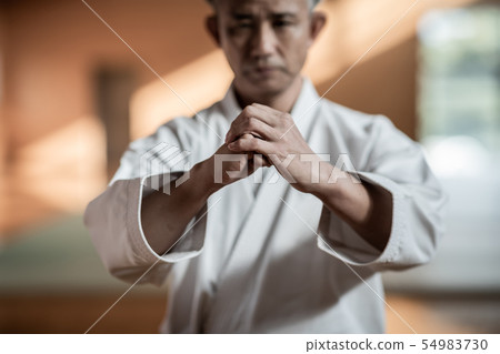 空手道 空的手 男人 54983730