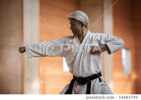 karate, empty hand, male 54983749