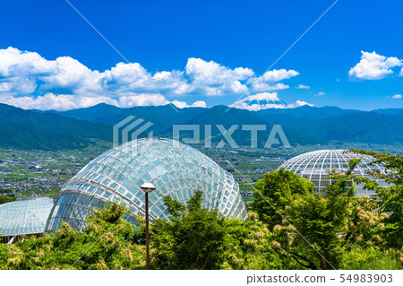 初夏的“山梨縣”甲府盆地,風光秀麗,富士山 初夏的“山梨縣”甲府盆地,風光秀麗,富士山 54983903
