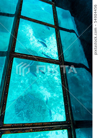 Okinawa Ishigakijima Kawahira Bay Underwater fish and fish seen from glass boat 54984456