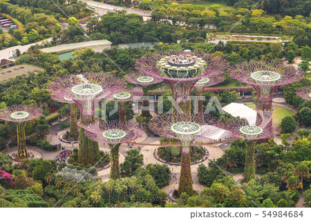 Singapore - 07 July 2018 Gardens by the Bay Singapore - 07 July 2018 Gardens by the Bay 54984684