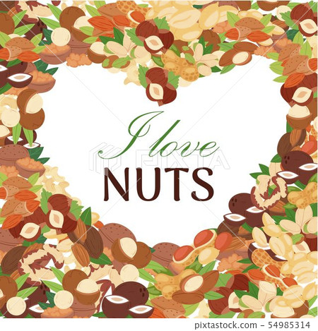 Nuts vector poster. Peanut or coconut and hazelnut, pistachio or almond, walnut and macadamia in Nuts vector poster. Peanut or coconut and hazelnut, pistachio or almond, walnut and macadamia in 54985314