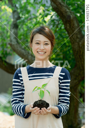 植物苗木人園藝 54985791