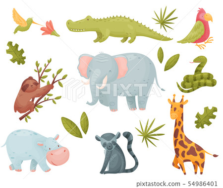 Set of tropical animals. Vector illustration on white background. 54986401