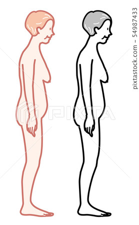 Female proportion elderly person illustration Female proportion elderly person illustration 54987433
