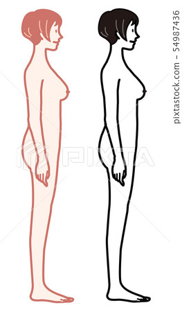 女性比例成熟婦女例證 54987436