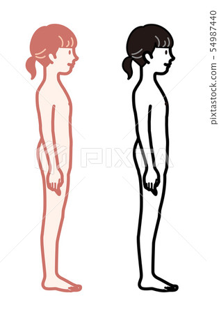 Female proportion girl illustration Female proportion girl illustration 54987440