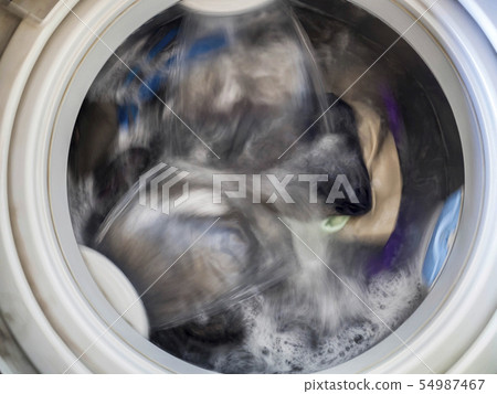 Top loading washing machine washes laundry. 54987467