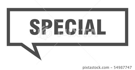 special sign. special square speech bubble. 54987747