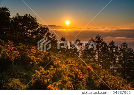 《山梨縣》阿馬里山雲海的黎明 54987905