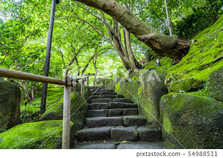 [神奈川縣]鎌倉北國寺 54988511