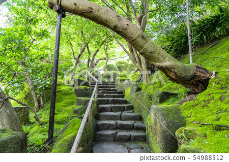 [神奈川縣]鎌倉北國寺 54988512