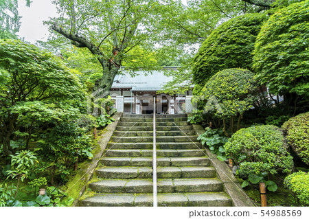 [Kanagawa] Kamakura Hokokuji 54988569