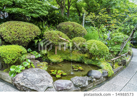[Kanagawa] Kamakura Hokokuji 54988573