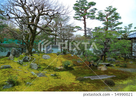 京都Shinshoin 54990021