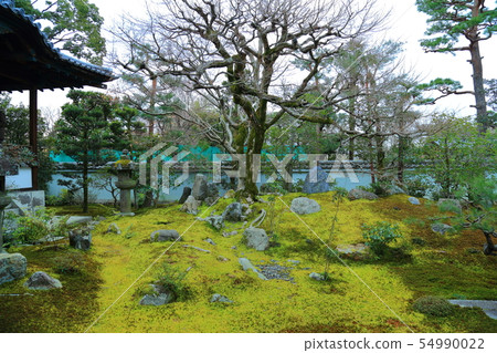 京都Shinshoin 京都Shinshoin 54990022