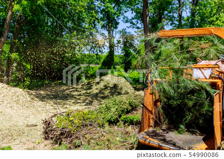 poplar grinding machine to become chip poplar grinding machine to become chip 54990086