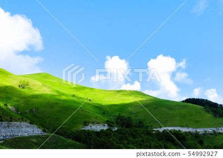 Venus Line Landscape (Summer) 54992927