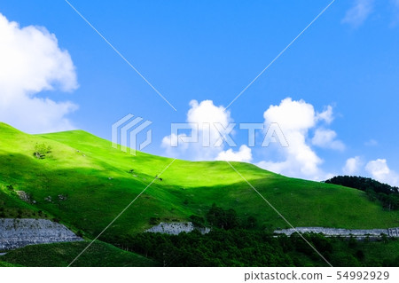 金星線景觀(夏季) 金星線景觀(夏季) 54992929