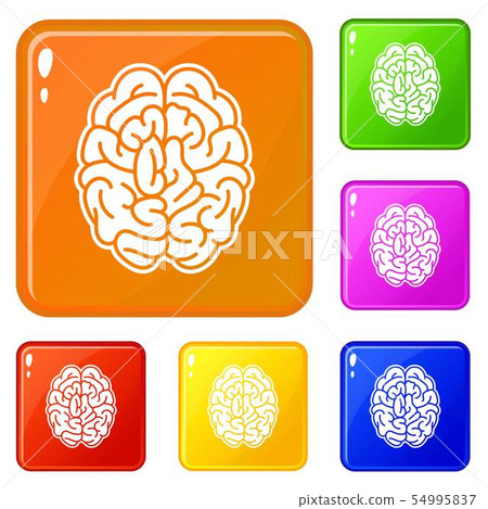 Brain mind icons set vector color-插圖素材 [54995837] - PIXTA圖庫