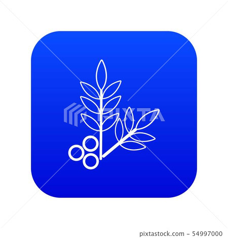 Spa eco leafs icon blue vector Spa eco leafs icon blue vector 54997000