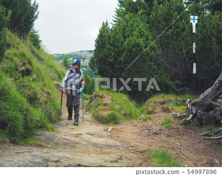 Little boy with backpack hiking in scenic Little boy with backpack hiking in scenic 54997896
