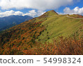 Feraga Forest Road Autumn leaves b 54998324