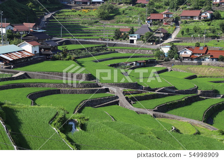 Init terraced rice fields Init terraced rice fields 54998909