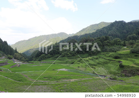 Init terraced rice fields Init terraced rice fields 54998910