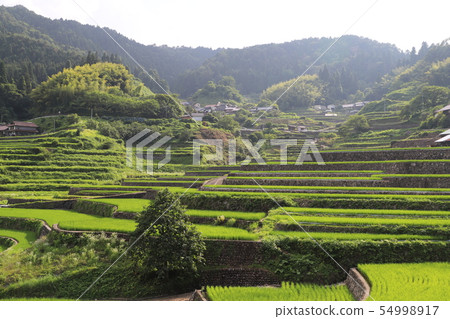 初始化梯田 初始化梯田 54998917