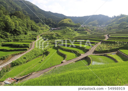 初始化梯田 初始化梯田 54998919