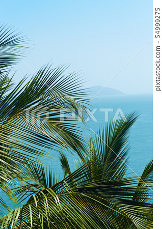 Exotic, beautiful and secluded beach with palm 54999275