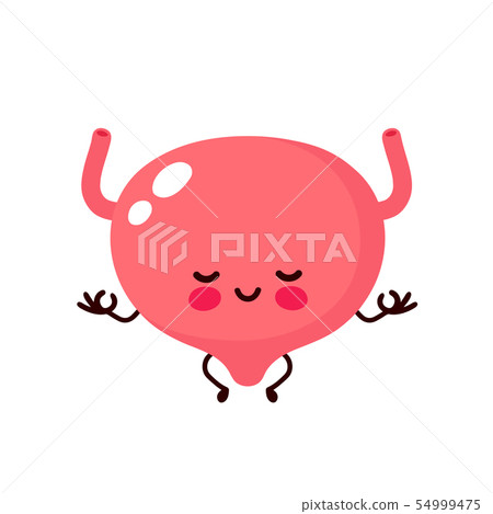 Strong cute healthy happy human Bladder  54999475