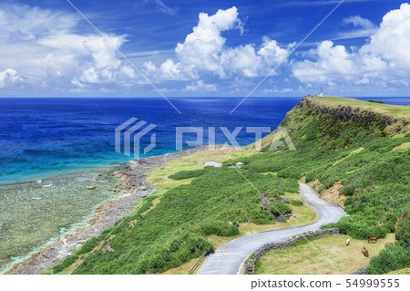 Okinawa Prefecture, Yaeyama Islands Scenery of Yonaguni Island 3 54999555