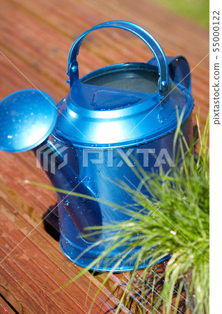 blue watering can in garden 55000122