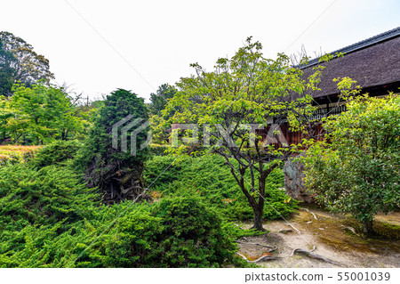 High bay Kyoto in front of the school 55001039