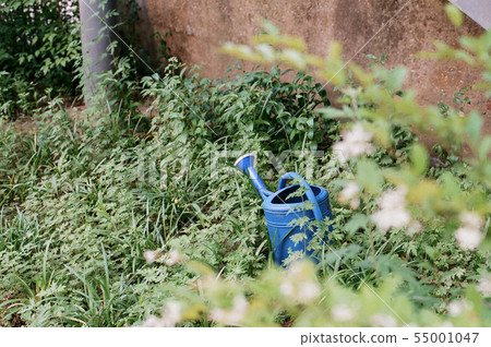 生活 生活 55001047