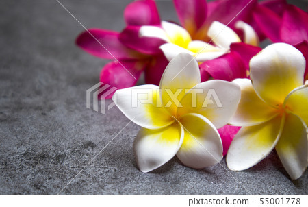 Plumeria background Plumeria background 55001778