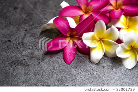 Plumeria background 55001789