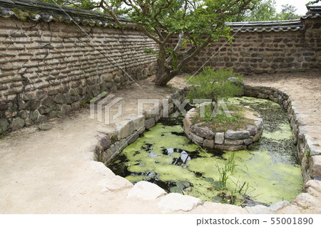 A small pond in the garden A small pond in the garden 55001890