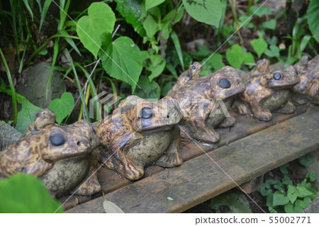 A frog 55002771