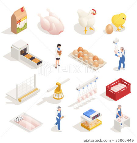 Chicken Farm Isometric Set  55003449