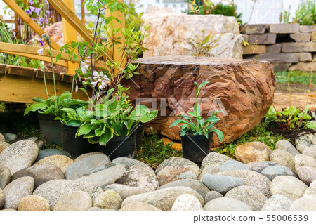 ornamental potted plants prepared for planting in 55006539