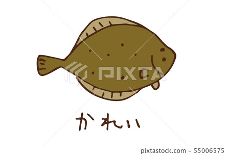 Illustration of flatfish Illustration of flatfish 55006575