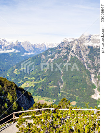 奧地利的Ice Risenvelt 55006647