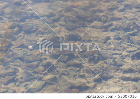 Yaritanago to compete for bivalves 55007016
