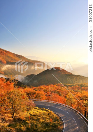 栃木縣秋天的清晨景觀從日光伊羅哈斜坡 55007218