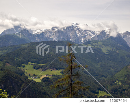 奧地利的Ice Risenvelt 55007464