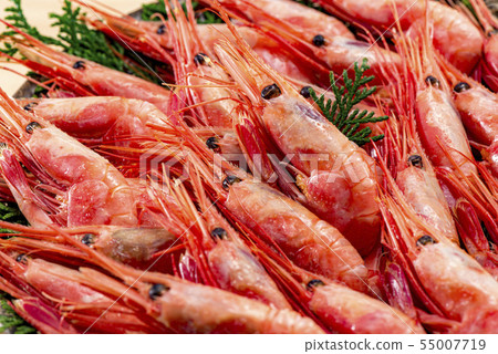 Serve delicious shrimp side by side Serve delicious shrimp side by side 55007719