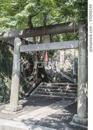 若宮八幡宮（大岡，南區，橫濱市） 55008244